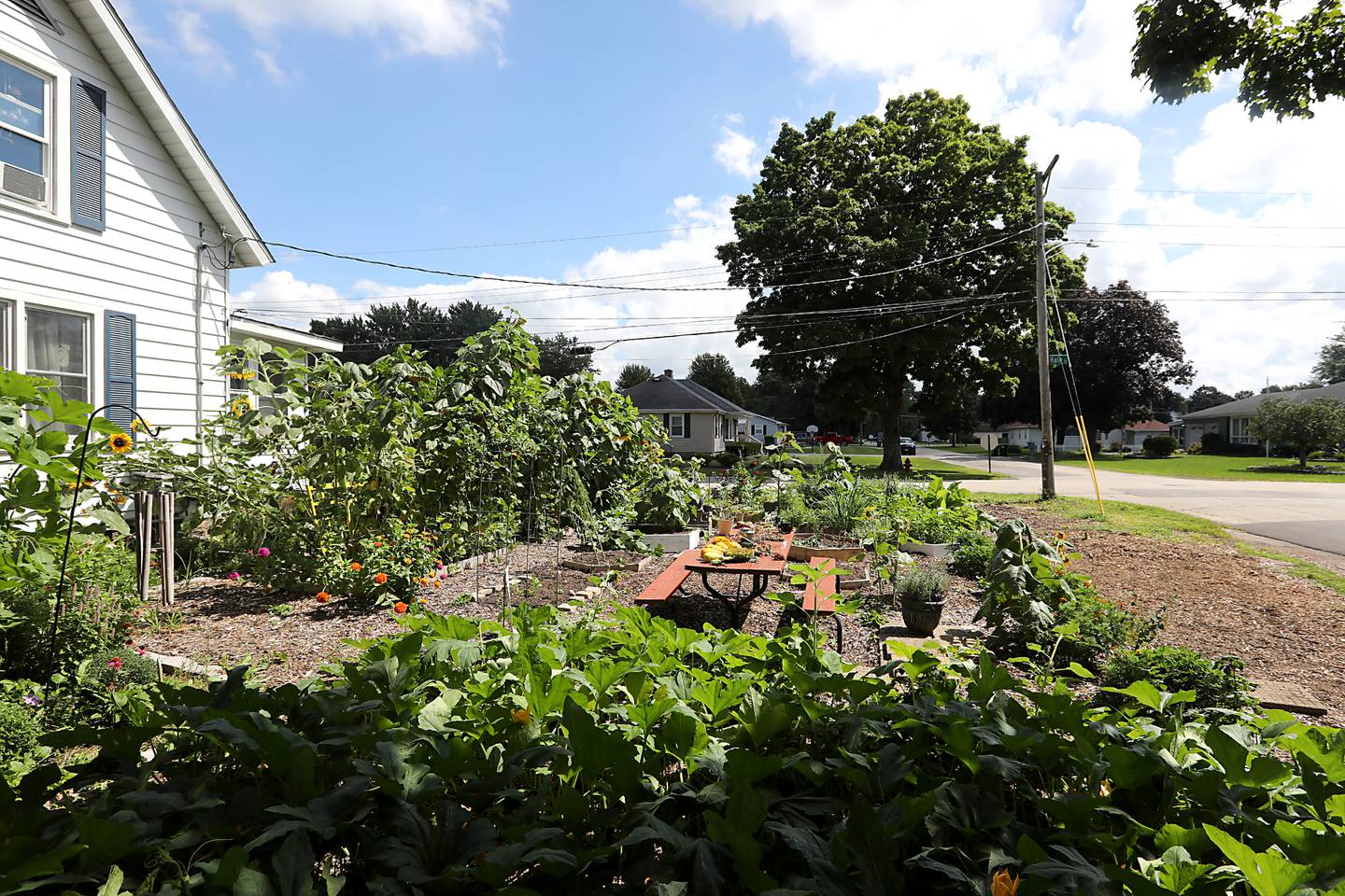 Konni Vukelic, the owner of Three Bees Honey Farms, is upset with the way the City of Marengo handled removing part of her pollinator garden around her home in Marengo.