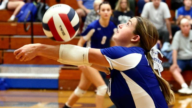 Final 2025 BCR Area Volleyball Standings     