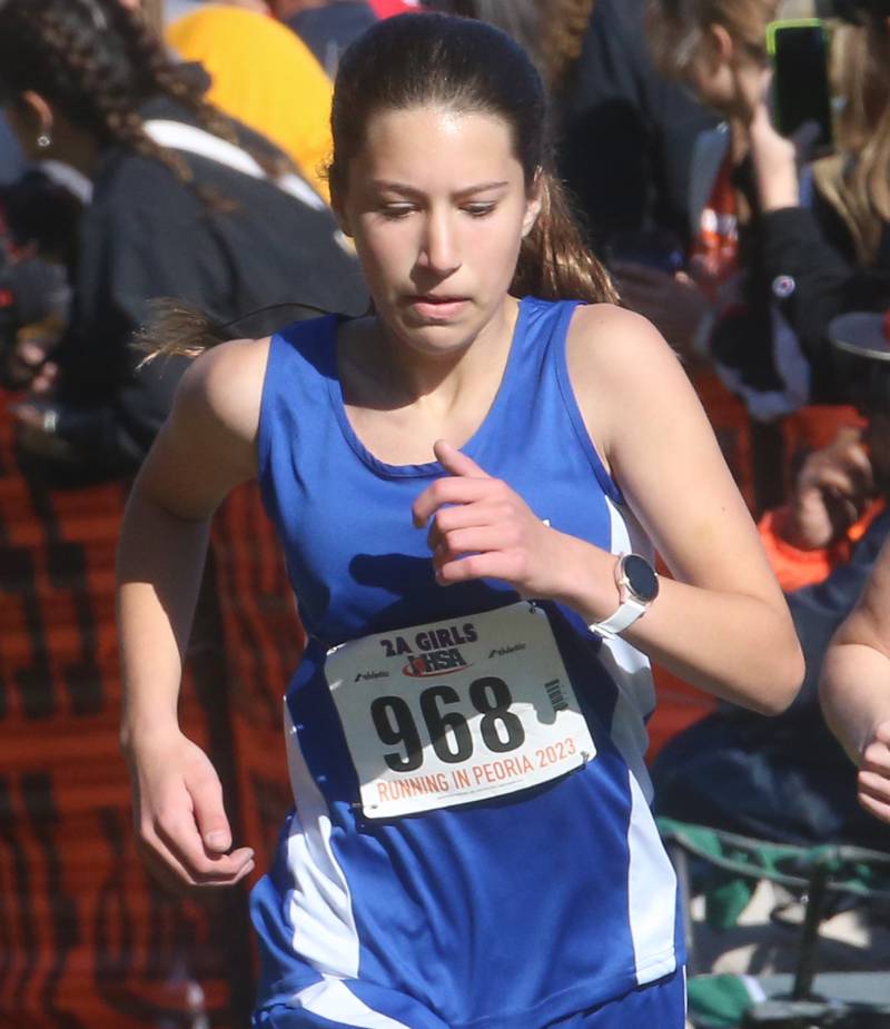Wheaton St. Francis's Siena Schwan competes in the Class 2A State Cross Country race on Saturday, Nov. 4, 2023 at Detweiller Park in Peoria.