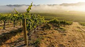 Savor newfound nuance of Edna Valley pinot