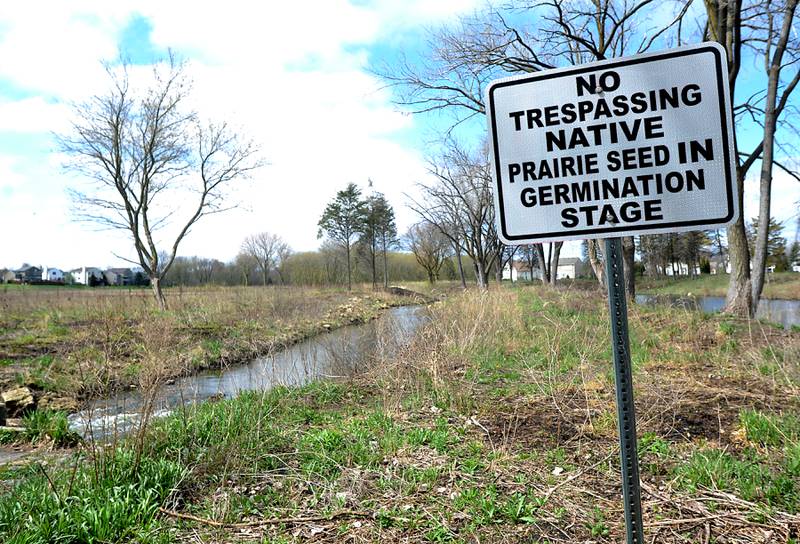 A section of Woods Creek in Lake in the Hills on Wednesday, May 4, 2022, that was restored earlier. Lake in the Hills approved a $1.3 million contract to continue its restoration of the creek.