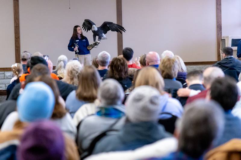 Zoe Boyer of the organization World Bird Sanctuary presents a Bald Eagle for  audience members during a live animal show during Eagle Watch Weekend on January 24, 2026 at Starved Rock Lodge.