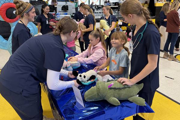 GAVC students run checkups on stuffed animals for Nettle Creek Elementary students