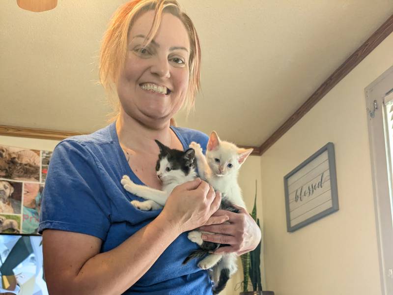 Unsung heroes: Sterling woman working to address feral cat population