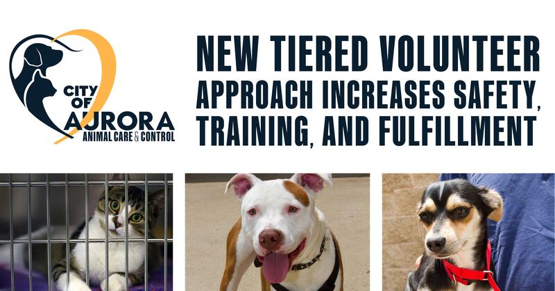 Aurora has launched a new shelter volunteer program with five different tiers within it.