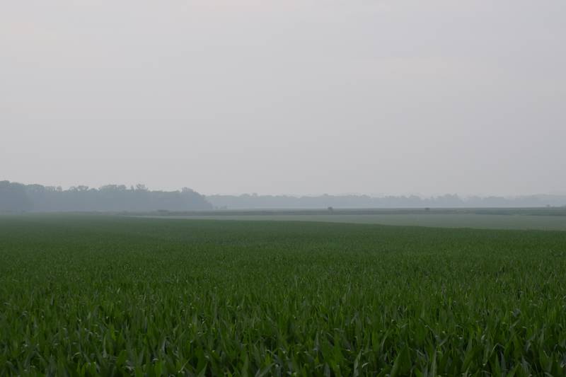 Smoke could be seen in the air, a result of the Canadian wildfires. Air quality in the area took a hit and caution was given to individuals spending time outside.