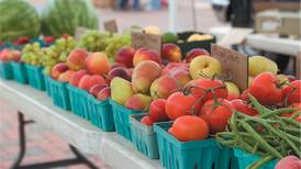 South Ottawa farm stand in jeopardy