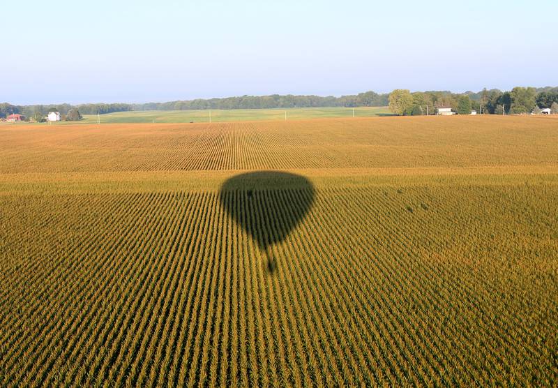 The shadow of a hot air balloon flies over a corn field south of Princeton during the 52nd annual Homestead Festival on Friday, Sept. 8 2023 in Princeton.