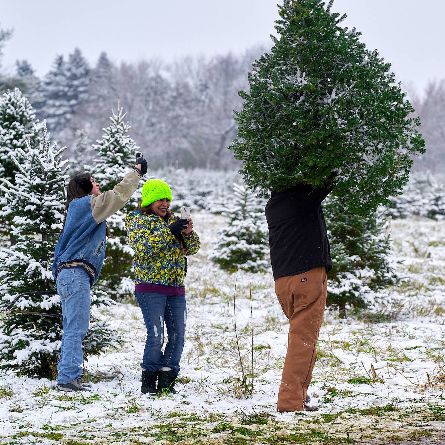 A family outing to the Richardson Christmas Tree Farm is one for the memory books. The farm at 9407 Richardson Road, Spring Grove, opens Black Friday, Nov. 28.