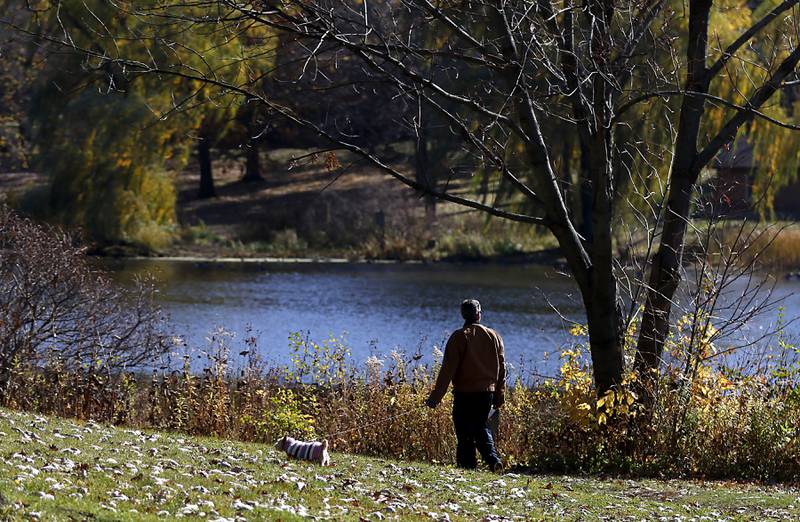 A man walks his dog Wednesday. Oct. 26, 2022, as he takes advantage of wonderful fall day in Veteran Acres Park in Crystal Lake.