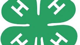 Lee County 4-H to hold Project Pool event April 5 in Amboy