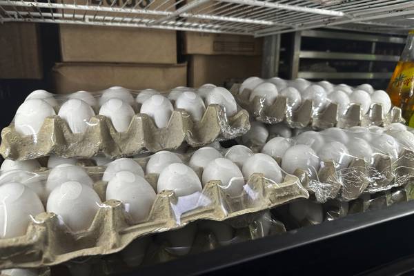 Free food pantry offerings at Plano church 