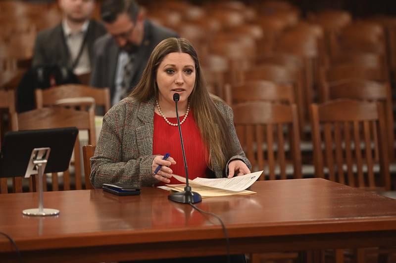 State Sen. Rachel Ventura, D-Joliet, as been appointed to serve as chair of the Senate Human Rights Committee for the 104th General Assembly.
