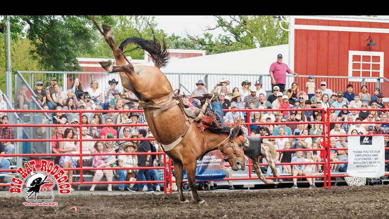 Pro Rodeo is coming to Sonny Acres Farm in West Chicago June 13-14 and June 20-22, 2025.