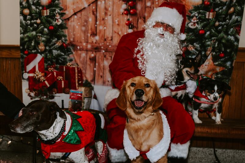 Dress in your ugliest holiday sweater and bring your dog to the 2024 Ugly Sweater Pawrade in Lemont Downtown from 11:30 a.m. to 3 p.m. Sunday, Dec. 1 for some festive fun.