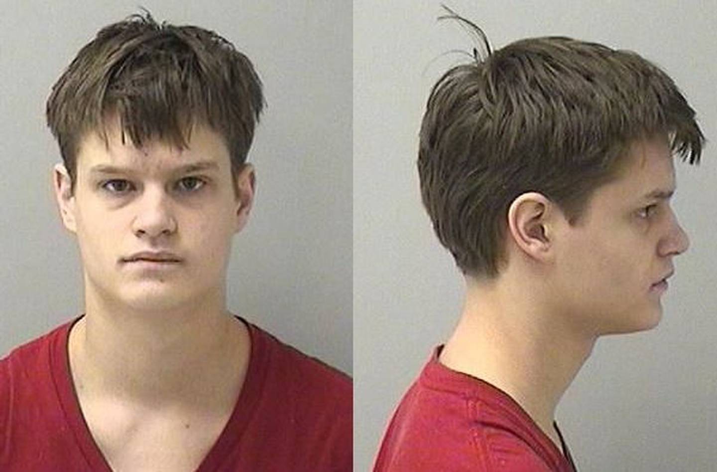 Tyler A. Schmidt was charged felony aggravated driving under the influence; felony reckless homicide; felony aggravated driving under the influence of drugs causing great bodily harm; felony aggravated reckless driving; lesser offenses of failing to reduce his speed to avoid a crash, speeding over the posted limit and failure to stop before reaching a school bus.