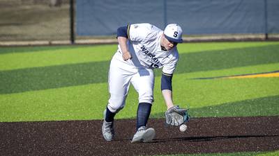 Photos: Sterling vs Rock Falls baseball