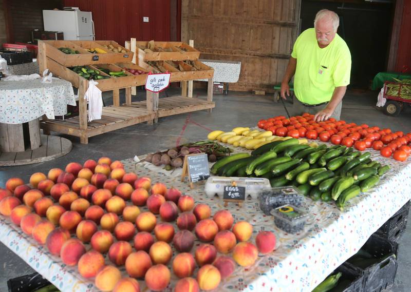 Rob Wessels, owner of Wessels’ Family Farm, checks out some of the produce he has for sale Thursday, July, 18, 2024, at the market in DeKalb.