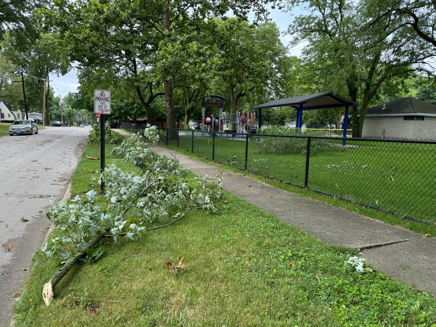 Tree limbs litter Goodwill Park in Morris after a storm Monday night left much of the east side of Morris without power.