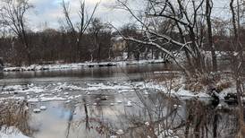Conservation Foundation’s program at Yorkville Library uncovers Fox River’s diversity