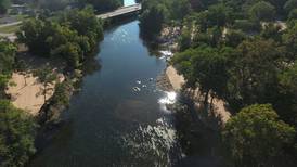 Take a DuPage River adventure in Hammel Woods in Shorewood