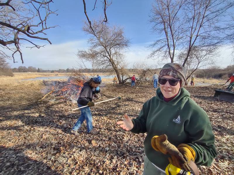 Staff and volunteers with the Land Conservancy of McHenry County, including restoration ecologist Megan Oropeza, shown here, "rescue" two oaks in Harvard Saturday morning, Dec. 31, 2022, as part of their annual New Year's Eve Oak Rescue in an attempt to preserve the native tree species around the county.