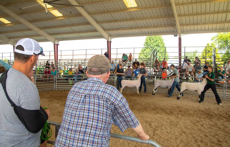 Photos McHenry County Fair celebrates 75th Anniversary in Woodstock Shaw Local