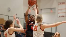Girls basketball: The 2022-23 Herald-News All-Area Team