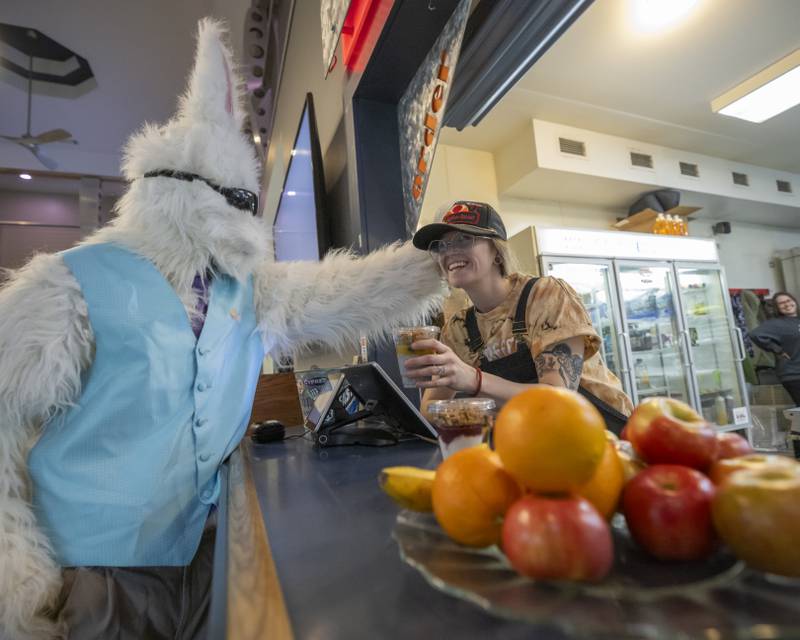 The Easter Bunny orders a parfait from Saffron Bazaar's new second location, at Skydive Chicago. The second location will still be open to the public and will feature Mediterranean style food.