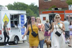 5 Things to Do: Infinity Food & Art Festival in Ottawa, La Salle County 4-H Show