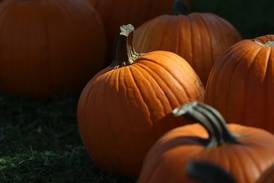 Hallway Halloween, chili and hot dog supper is Oct. 25 in Byron