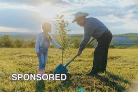 How to Create a Long-lasting Tribute to Memorialize a Loved One