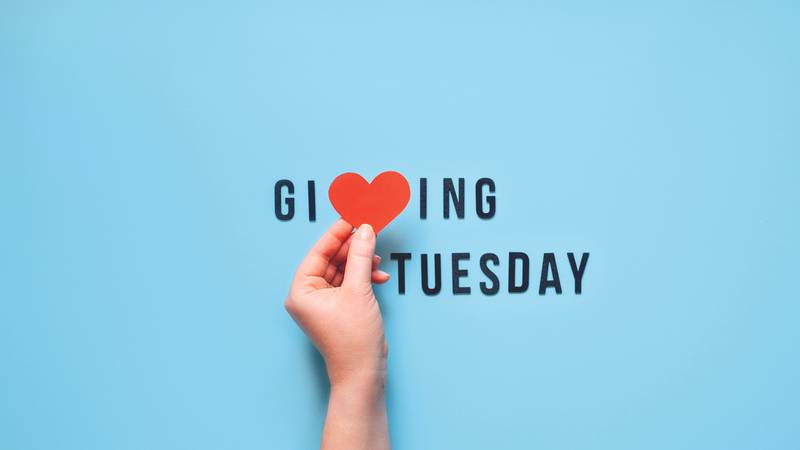 Take a closer look at nonprofits around Kane County and get ready for giving season