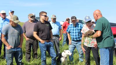 Farmer’s regenerative system includes cattle grazing with virtual fencing