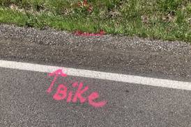 Boy, 15, dead in hit-and-run crash near Crystal Lake 