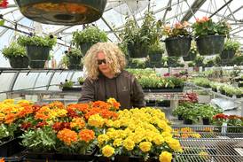 2026 Forreston FFA greenhouse sale dates announced