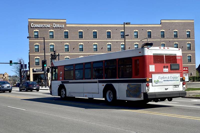 An NIU Huskie bus, part of the city of DeKalb's public transit system, heads east on Lincoln Highway in downtown DeKalb Monday, April 15, 2024.