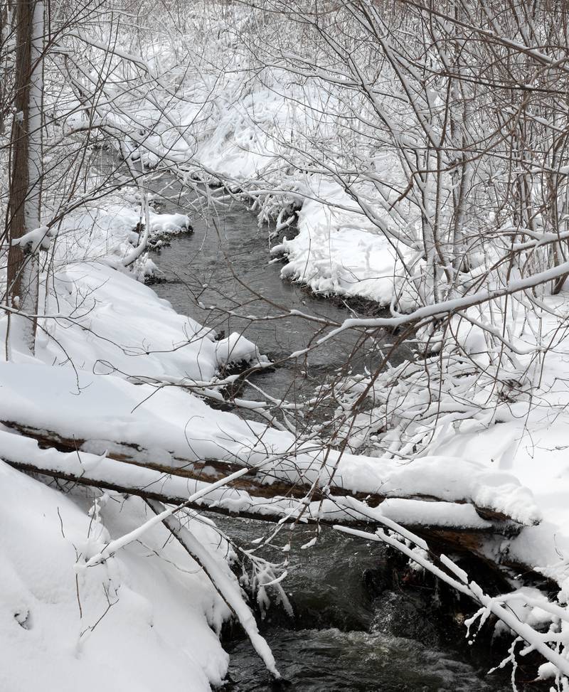 A stream makes its way through the snow Monday, March 16, 2026, at County Farm Woods Park in DeKalb. A March snowfall covered DeKalb County in about six inches of the white stuff Sunday night into Monday.
