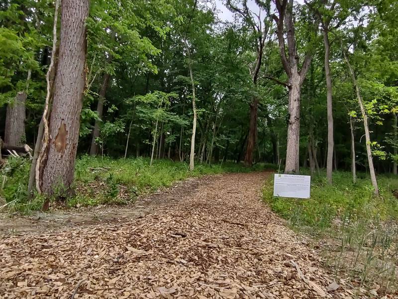 Master Gardeners plan winter seed workshop Jan. 31