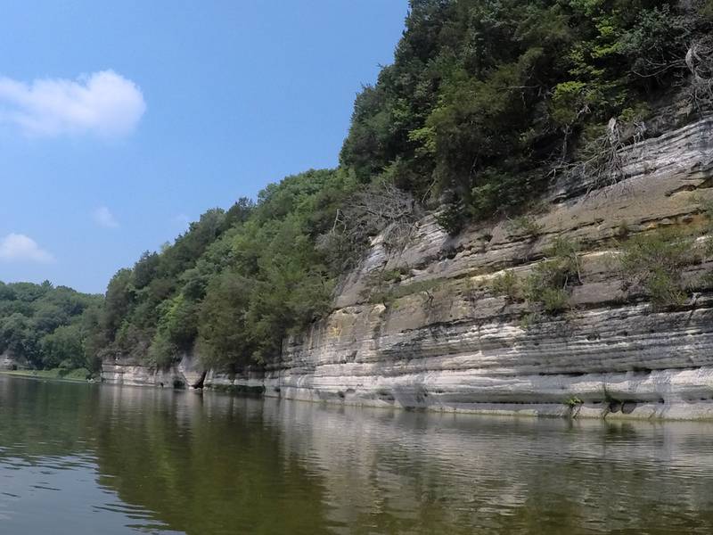 The Conservation Foundation is leading a Fox River Initiative aimed at improving the river's health.