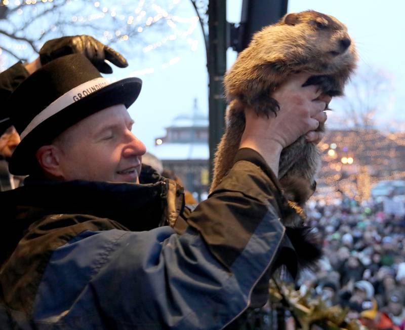 Woodstock Willie is held by handler Mark Szafran as Willie looks to see if he can see his shadow on Monday, Feb. 2, 2026, during the annual Groundhog Day Prognostication in the Woodstock Square.