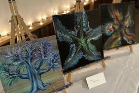 DeKalb County Mental Health Board holds second annual ‘In My Shoes’ showcase