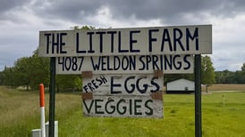 Illinois ‘chicken bill’ aims to boost small poultry farms, expand access to their products