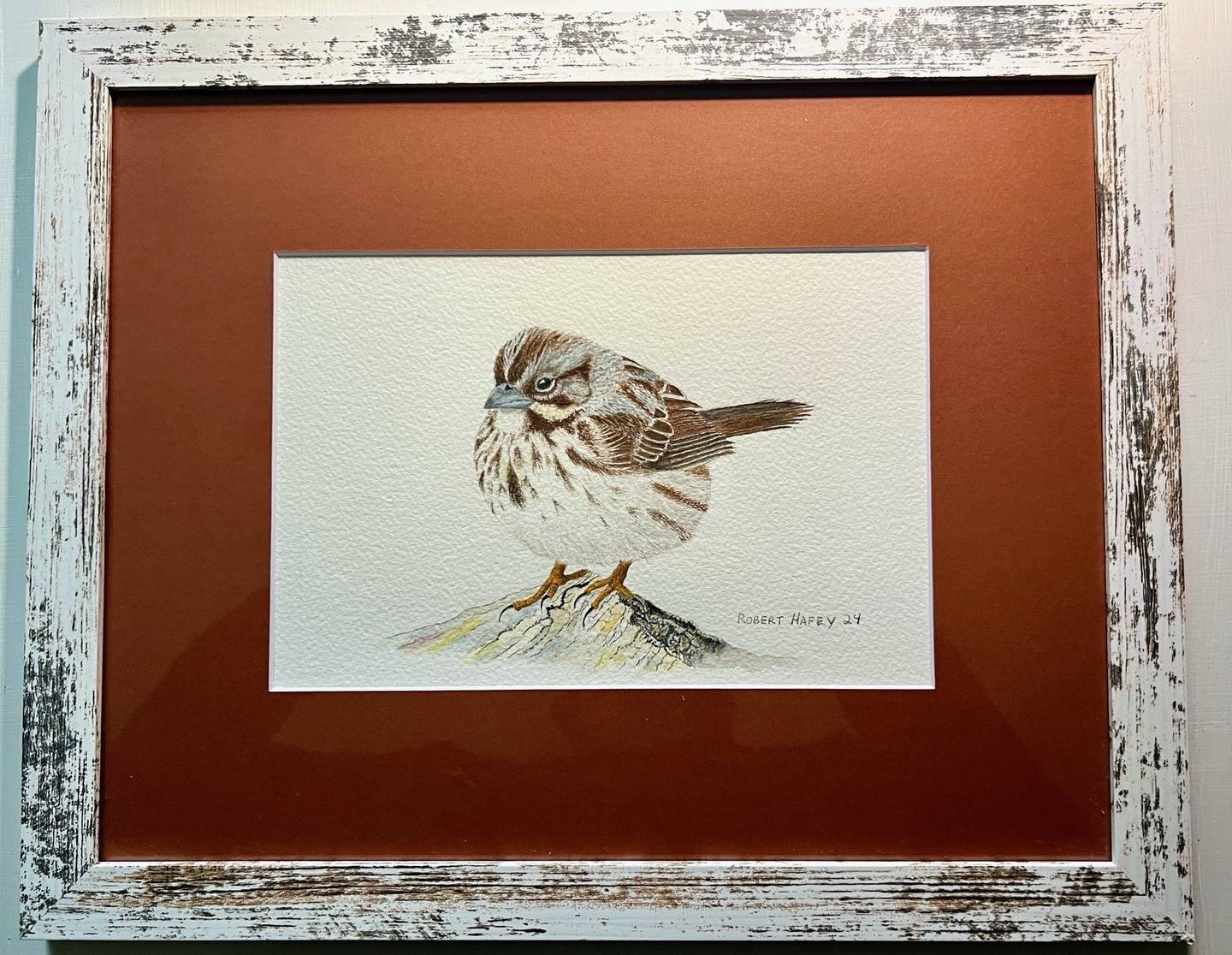 “The Joy of Birds” exhibit Four Rivers Environmental Education Center in Channahon features 20 watercolor paintings by Homer Glen artist Robert Hafey.