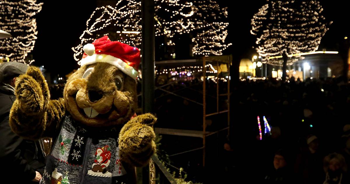 Photos Woodstock Lighting of the Square 2023 Shaw Local