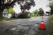 Downed trees, live wires, power outages after thunderstorms hit McHenry County area 