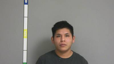Mendota man picked up as a fugitive