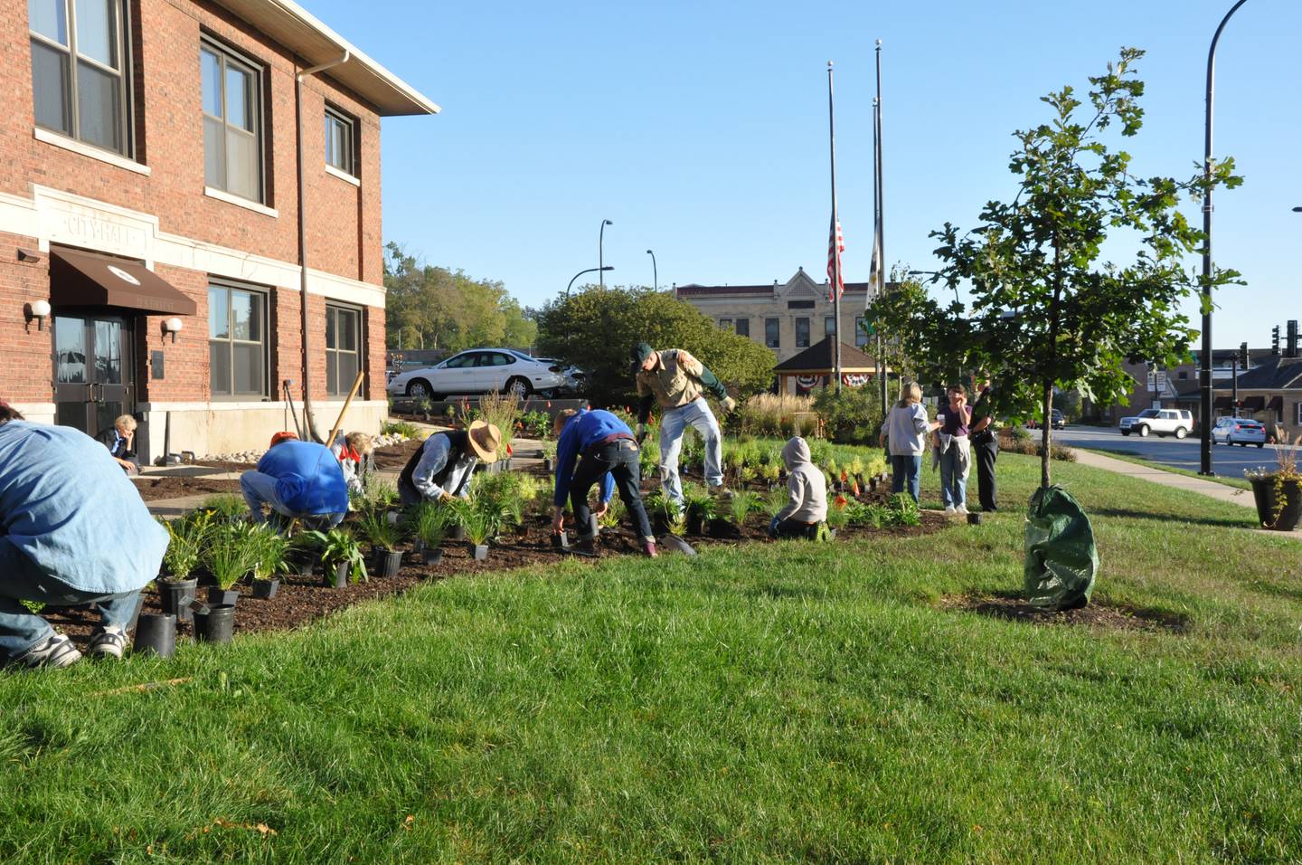 Volunteers – including Mayor Kevin Burns – tears out the lawn at Geneva City Hall to put in native plants.