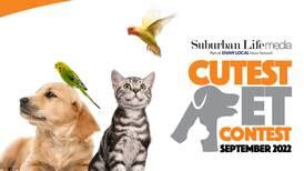 Vote in the September 2022 Suburban Life Cutest Pet Contest