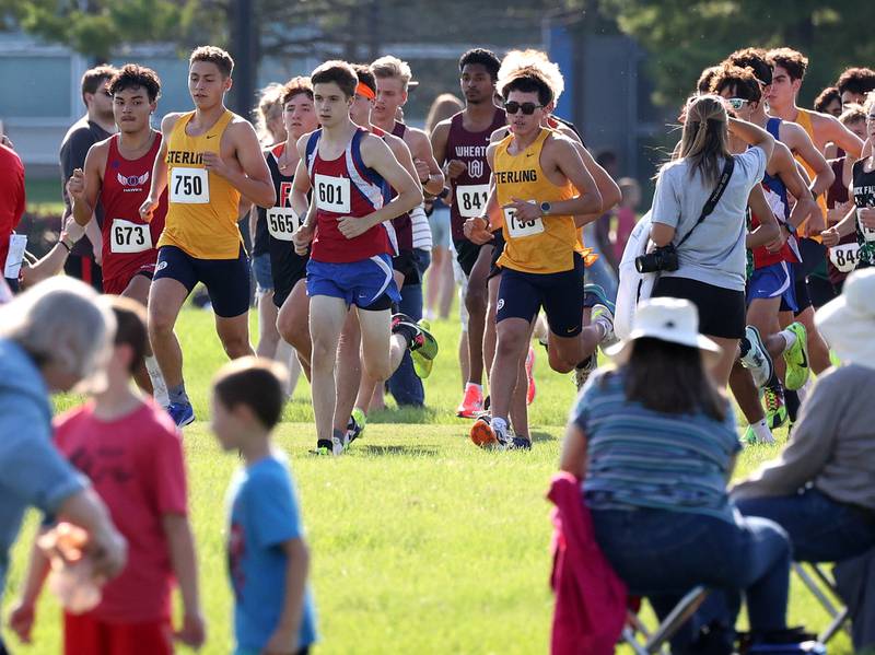 Spectators watch as the boys varsity race starts Tuesday, Sept. 2, 2025, during the Sycamore Cross Country Invitational at Northern Illinois University in DeKalb.